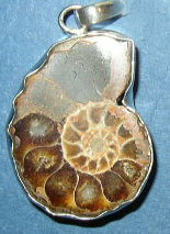 Sterling Silver Ammonite Pendant