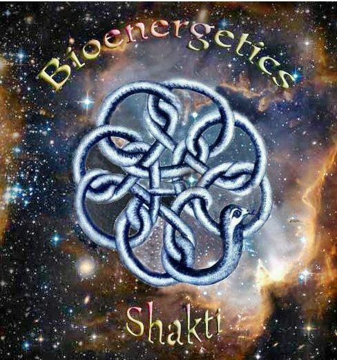 Bioenergetic  Shakti