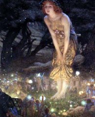 Fairy Night