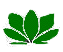 Healing Logo