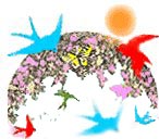 Birds of Paradise